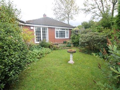 Picture 14